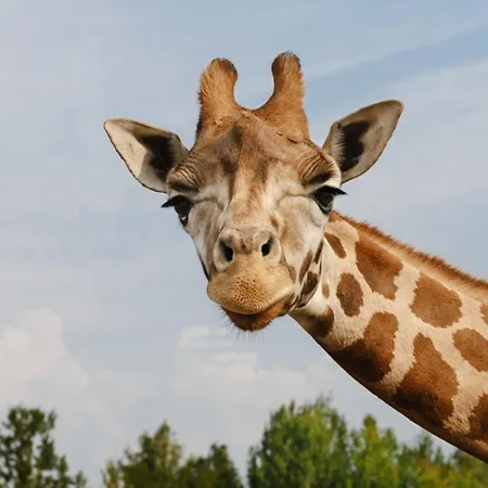 Otel Gasterij Dennenoord