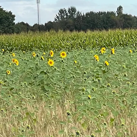 Gasterij Dennenoord Otel