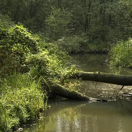 Gasterij Dennenoord Boxtel