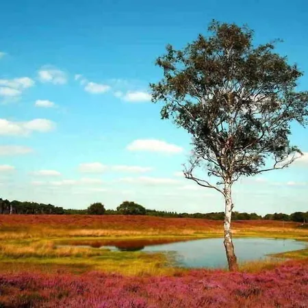 Gasterij Dennenoord ホテル