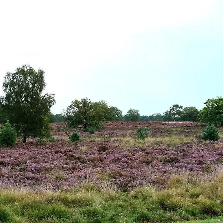 ホテル Gasterij Dennenoord