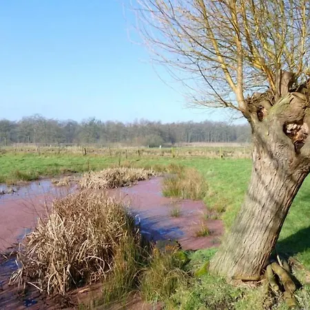 Gasterij Dennenoord 4* Boxtel