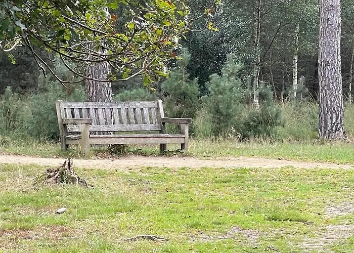 Gasterij Dennenoord 4*