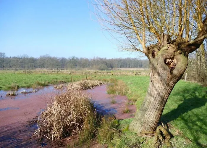 Gasterij Dennenoord 4* Boxtel