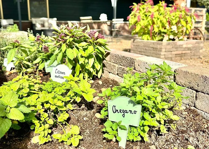 Gasterij Dennenoord Boxtel