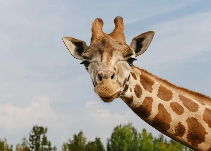 Hotel Gasterij Dennenoord