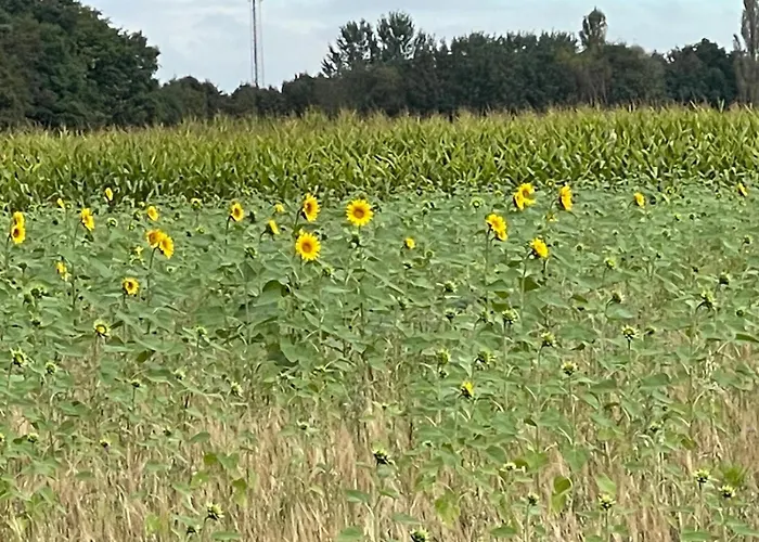 Gasterij Dennenoord Hotel