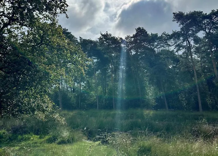 Gasterij Dennenoord Hotel