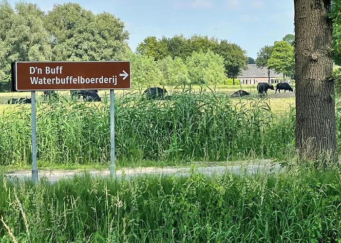 Gasterij Dennenoord Hotel Boxtel